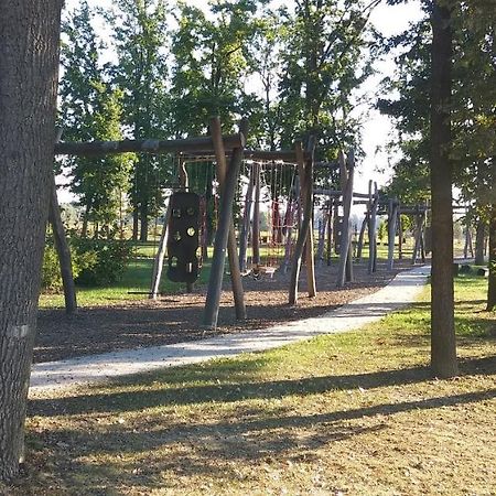 Apartma Mbm Διαμέρισμα Križevci pri Ljutomeru Εξωτερικό φωτογραφία