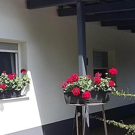 Apartma Mbm Διαμέρισμα Križevci pri Ljutomeru Εξωτερικό φωτογραφία